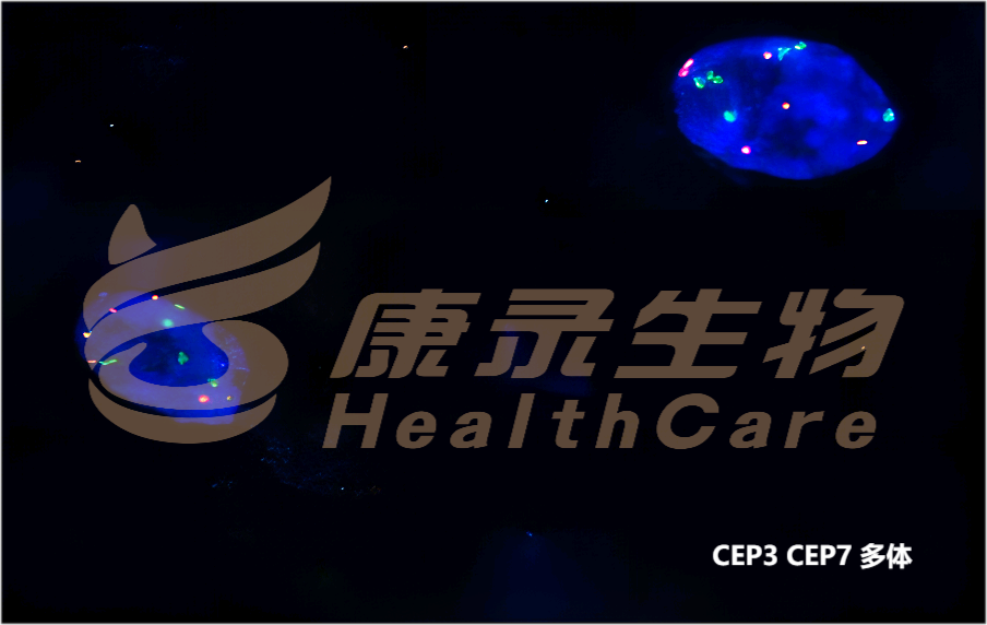 中国·拉斯维加斯(3499·官方认证)网站-Officialwebsite